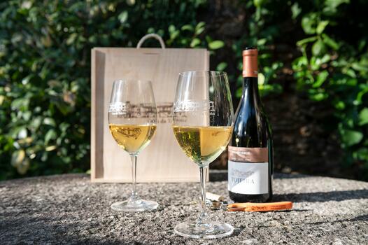 Casa da Tojeira - Visit & Exclusive Tasting