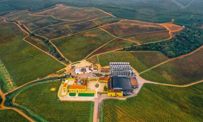 Quinta do Gradil - Visit & Premium Wine Tasting