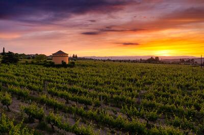 19|90 Wine Center Santar – Santar Tradition 