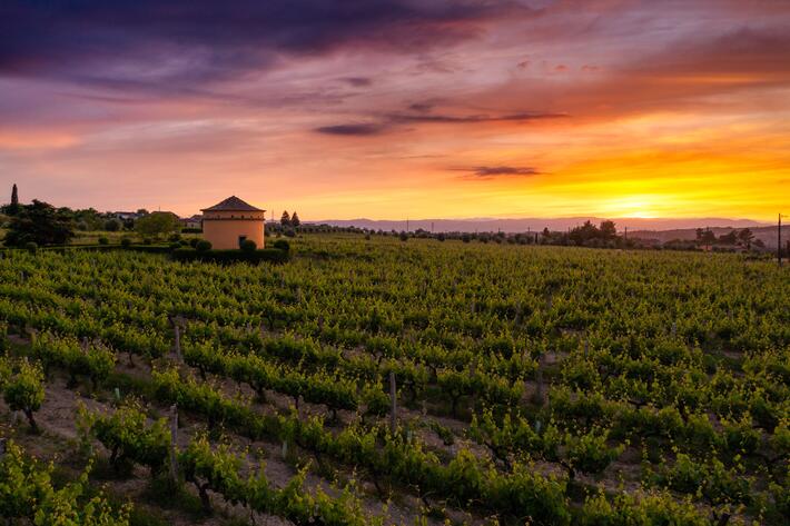 19|90 Wine Center Santar – Santar Tradition 
