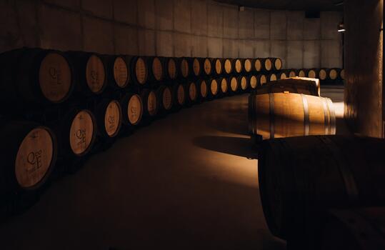 19|90 Wine Center Santar – 3 Terroirs Lovers 