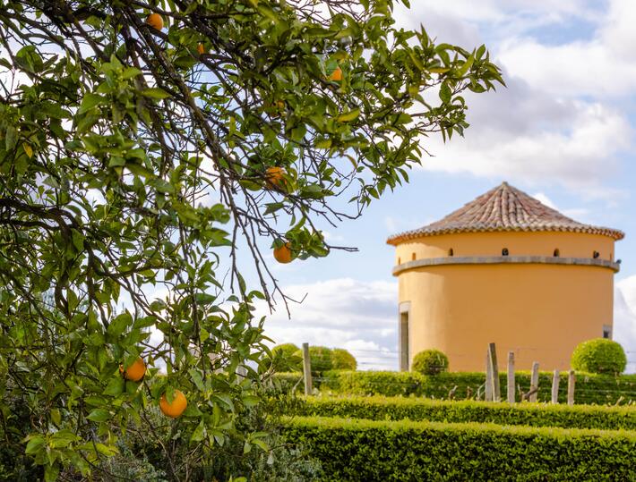 19|90 Wine Center Santar–Santar Exclusive Vintage 