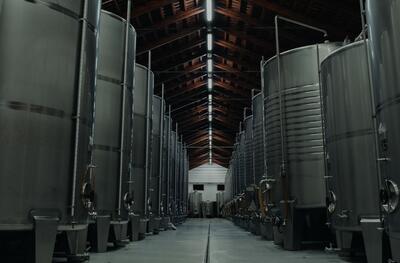 Quinta da Almiara – Visit & Premium Tasting