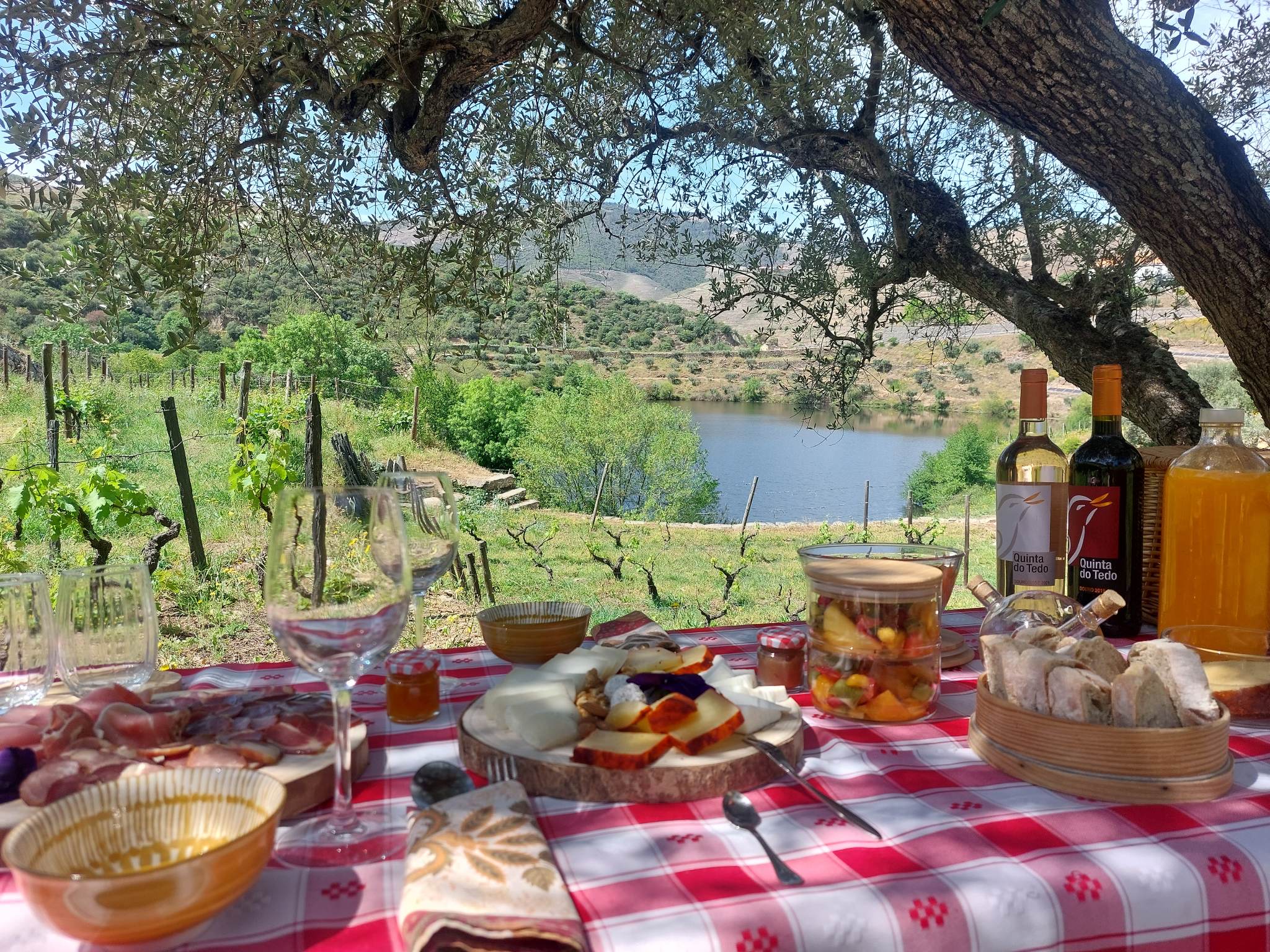 Quinta do Tedo – Tour & Regional Picnic