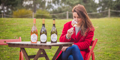 Quinta de Santiago - Visit, Tasting & Snacks