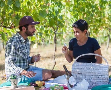 Quinta de Santiago - Picnic in the Vineyards
