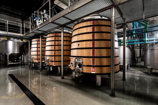 Ribafreixo Wines – Visita & Cata Clássica
