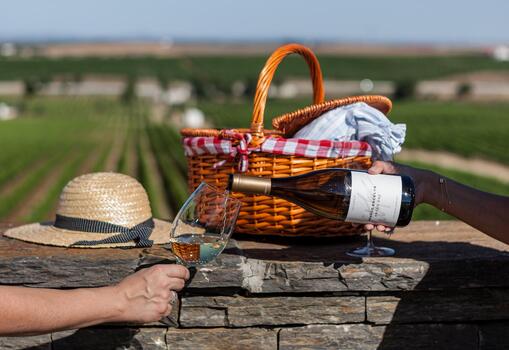 Ribafreixo Wines – Picnic en los Viñedos