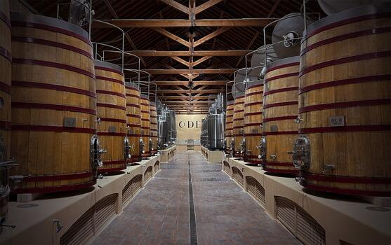 ODE Winery - Wine Workshop & Lunch 