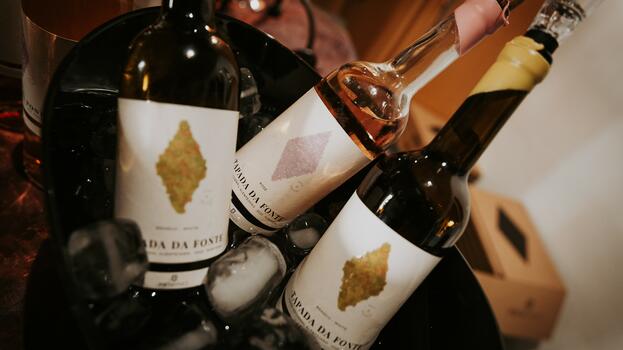 Pista Wines - Cata Verano 