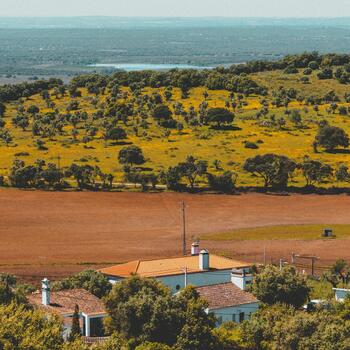 Pista Wines - Pícnic en los Viñedos
