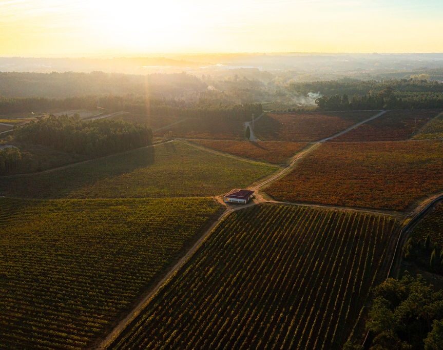 MESSIAS - Messias Bairrada