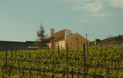 Quinta dos Capuchos - MonteCapucho Tour 