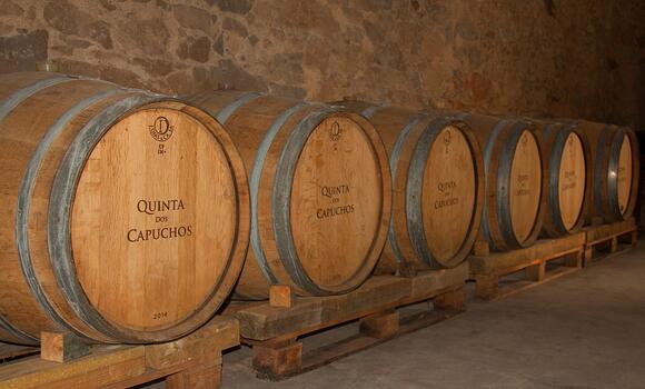 Quinta dos Capuchos - Elite Tour 