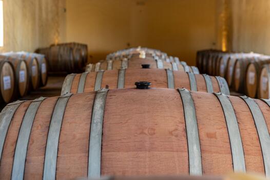 Herdade da Comporta - Visit & Personalized Tasting