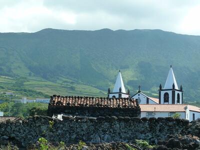 Pico Wine Tour - Privado