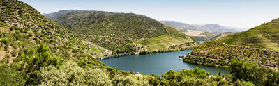 Douro Vinhateiro