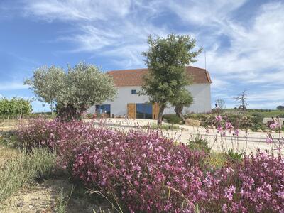 Cas'Amaro - Tour & Wine Tasting