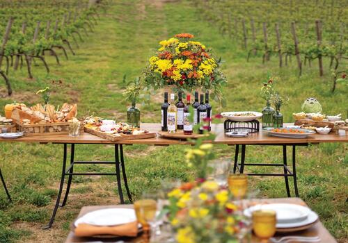 Cas'Amaro - Visit, Tasting & Gastronomy