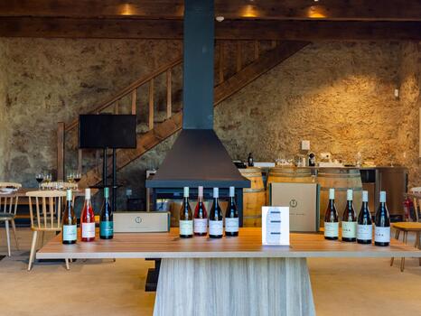 Textura Wines - Tour & Terroir Tasting