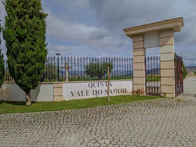 Quinta Vale do Sabor - Prova Vinhas do Sabor