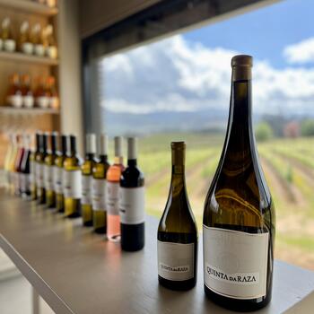 Quinta da Raza - Visita & Exclusive Plus Tasting