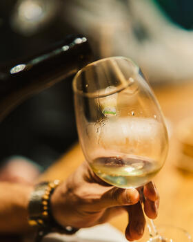 Quinta da Torre - Grape Variety Tasting