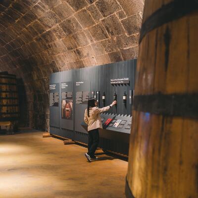 Caves Fonseca & Museus WOW