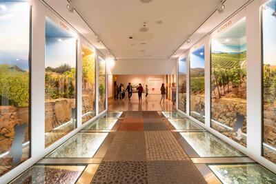 Caves Taylor's & Museus WOW