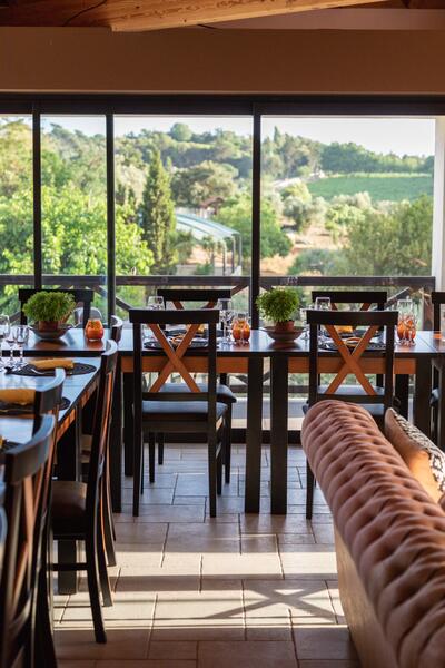 Club Picadeiro d'Arrábida - Wine & Olive Oil Tasting