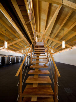 Adega Casa da Torre - Visit & Superior Tasting