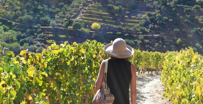 Quinta do Panascal – Visita & Prova Vintage
