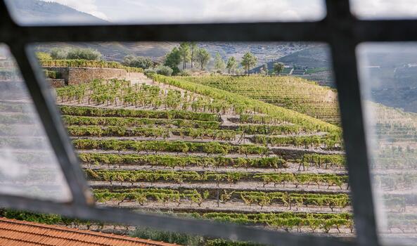 Quinta da Roêda – Visita & Prova Mixology