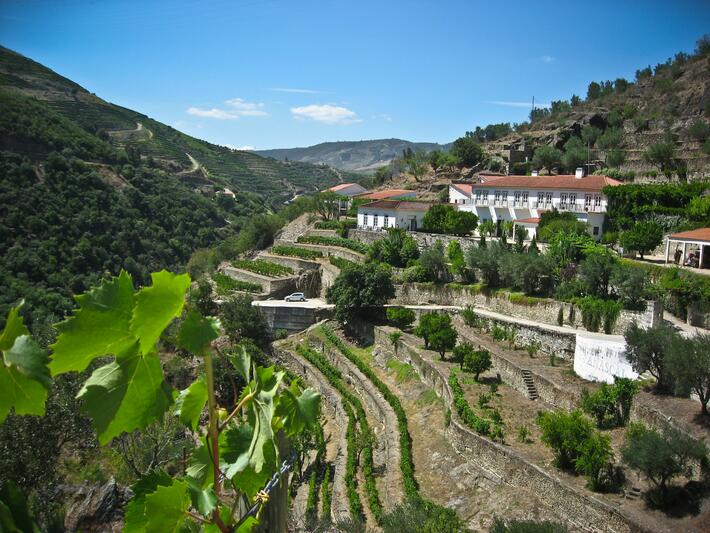 Quinta do Panascal – Visita & Cata Signature