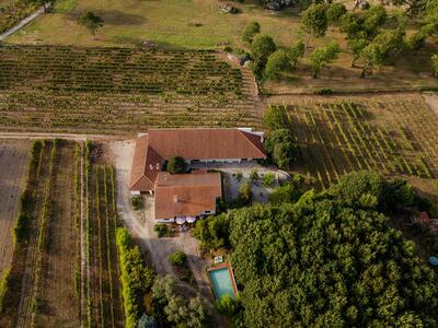 Pereira de Melo Wines - Visit & Elegance Tasting