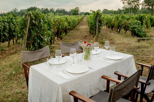 Pereira de Melo Wines - Vineyard Tapas