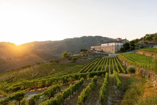 Kranemann Wine Estates – Visita & Prova de Vinhos