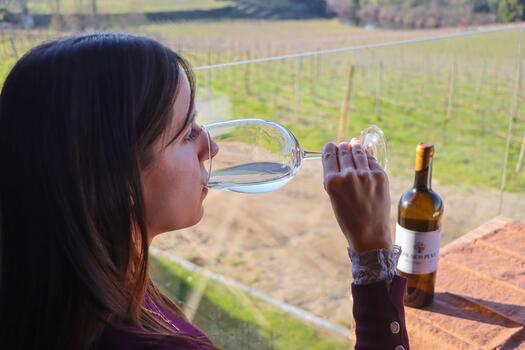 Solar da Pena - Picnic in the Vineyard