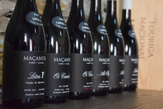 Adega Maçanita - As Castas do Douro