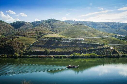 Adega Maçanita - Have You Really Met Douro?