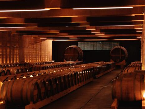 Menin Douro Estates - Prova Reserva