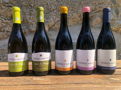 Pedra Cancela - Visit & Grape Variety Tasting