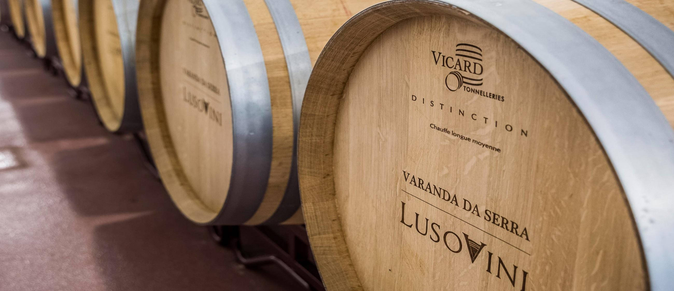 Pedra Cancela - Visit & Unique Grape Varieties Tasting – Nelas, Dão & Lafões