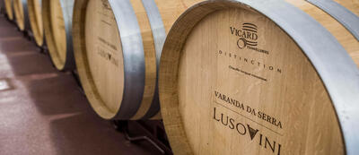 Pedra Cancela - Visit & Unique Grape Varieties Tasting