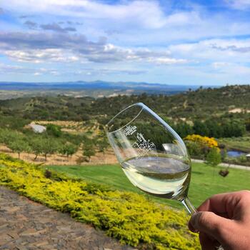 Quinta Vale d'Aldeia - Visita & Prova Clássica 