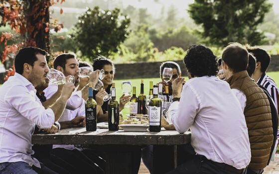 Quinta Vale d'Aldeia - Visita & Prova Premium