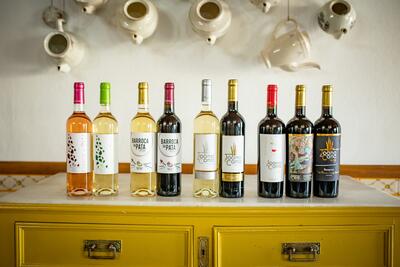 Vinhos Franco - Tour & Premium Wine Tasting 