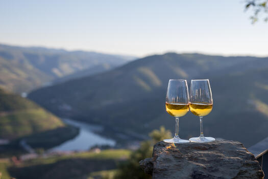 Douro Half-Day Sommelier Tour 