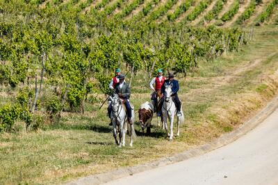 Quinta do Sampayo - Horse Riding