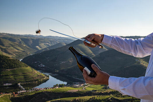 Douro Sommelier Tour with Private Boat Trip 